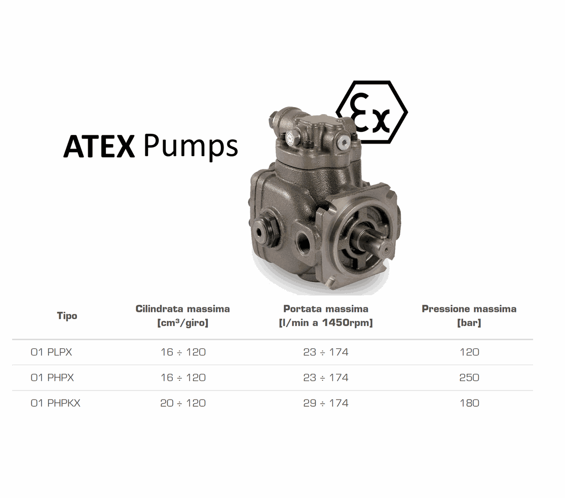 Berarma PLPX Vane Pumps