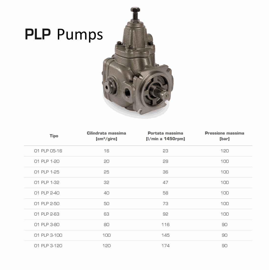 Berarma PLP Vane Pumps