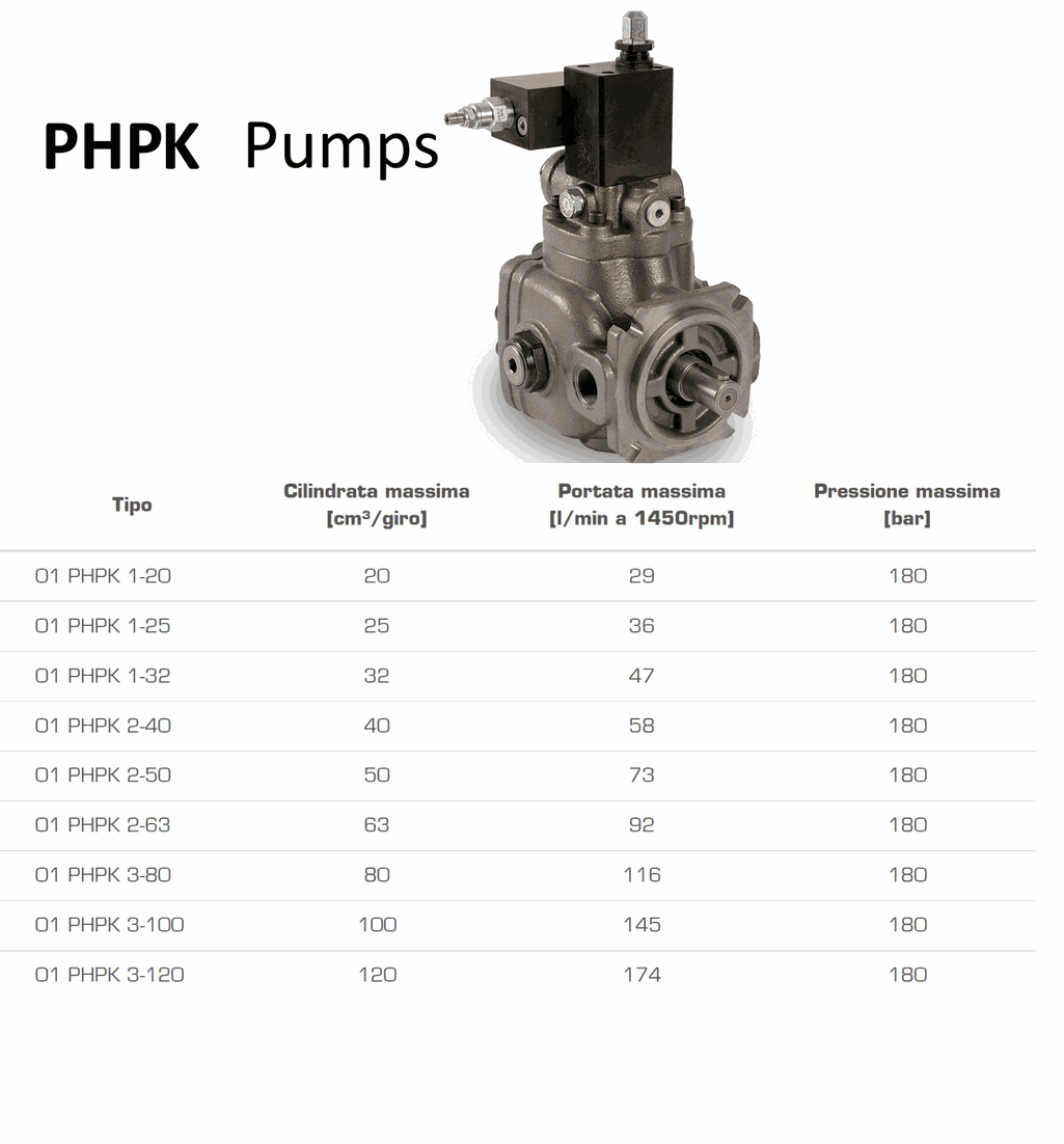 Berarma PHPK Vane Pumps
