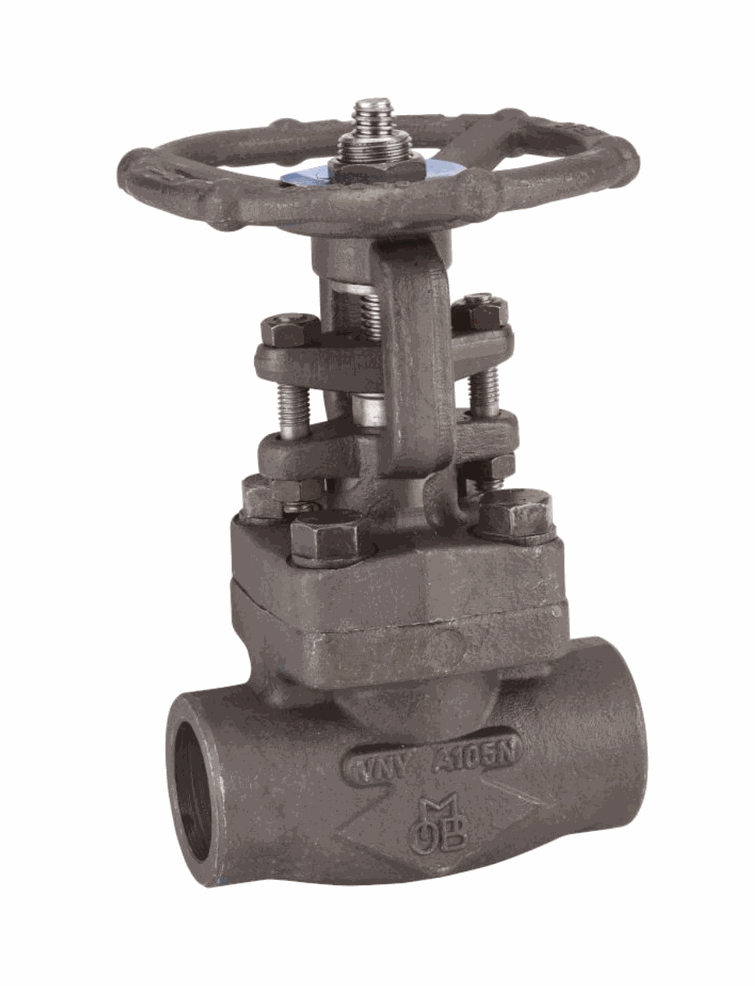 Forged valves