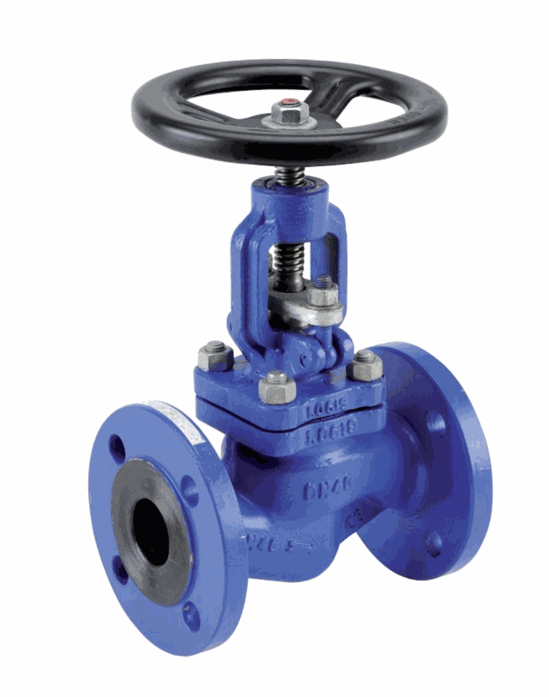 Globe valves