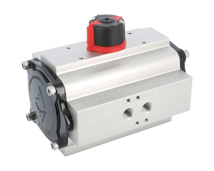 pneumatic valves actuator