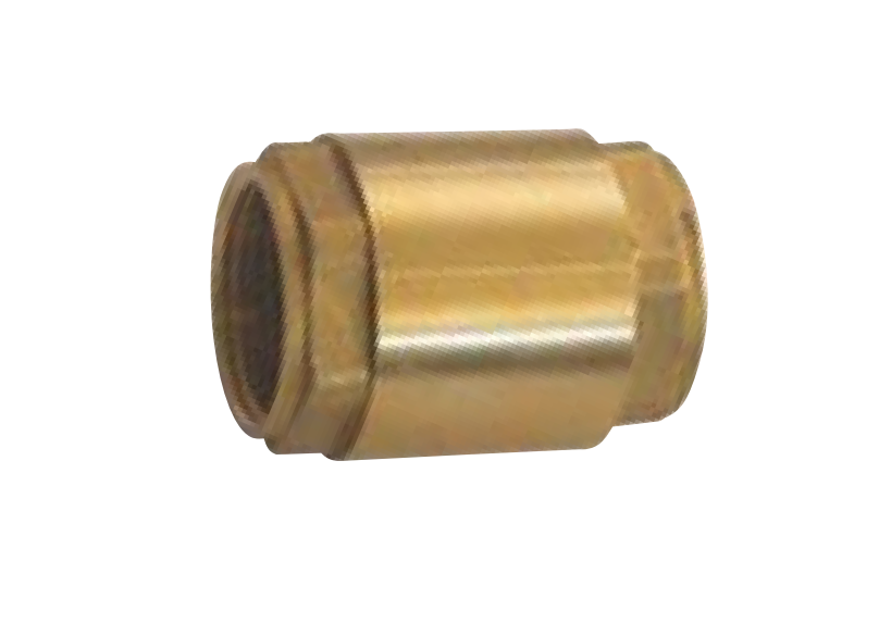 bulding check valves