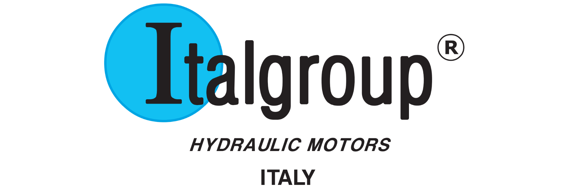 italgroup logo