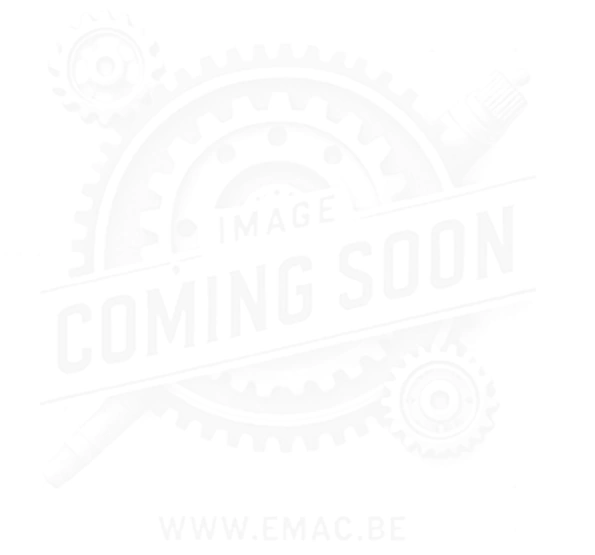 THE 206009